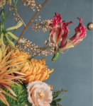 迎春納福．富貴吉祥