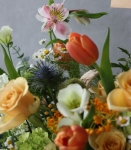 弗洛拉花園