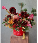 蛇年行大運 ．黑蝶大理花