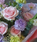 雲光花影 Cloud Bloom