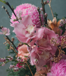 花開富貴．好事花生