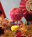 時來運轉．紅金喜氣盆花