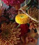 時來運轉．紅金喜氣盆花